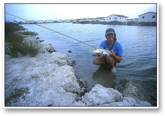 Jan's 'cuda, the pride Jan's 'cuda, the pride