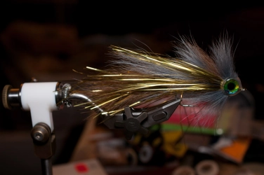 Large flies Large flies