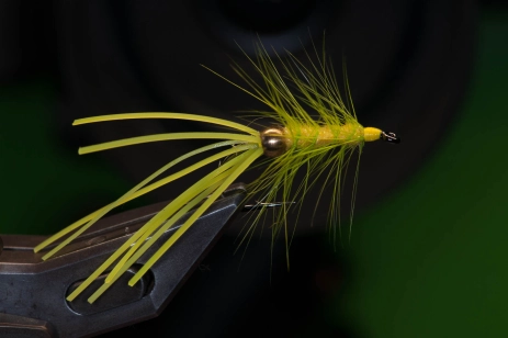 Palmered body hackle Palmered body hackle