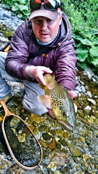 Brownie from Idrijca Brownie from Idrijca