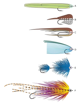 Methods to grow a fly Methods to grow a fly