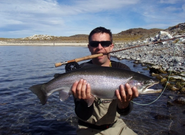 Balancing rod and fish Balancing rod and fish