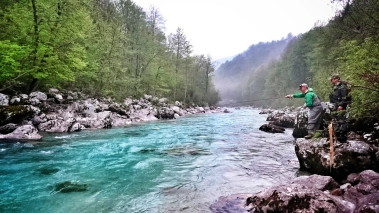 High attention High attention