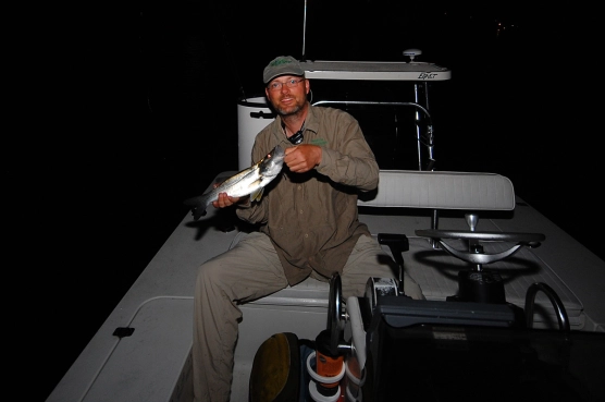 King of the moonfish - image King of the moonfish - image