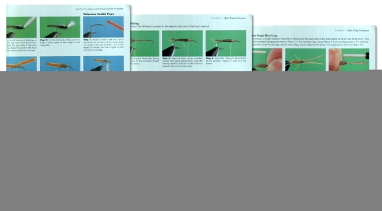 Nymp-Tying Techniques Nymp-Tying Techniques