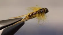 Video thumb for Simple Golden Stone