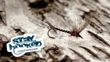 Video thumb for Kajs Vulgata