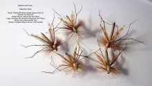 Video thumb for Foam Daddy Long Legs