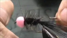 Video thumb for Egg Sucking Leech