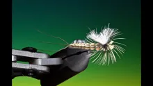 Video thumb for Foam Body Mayfly