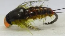 Video thumb for Hole Head Squirrel Olive Nymph