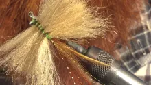 Video thumb for Merkin Crab
