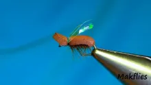 Video thumb for Brown Beetle
