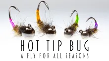 Video thumb for Hot Tip Bug