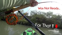 Video thumb for Catfish on the Fly!