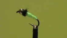 Video thumb for Chartreuse Rock Worm