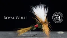 Video thumb for Royal Wulff
