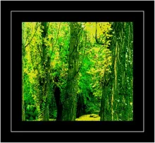 User submitted picture: Autum...Patagonia, Argent...