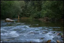 User submitted picture: Sightfishing for big barb...