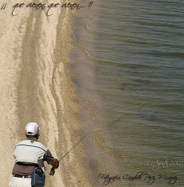 User submitted picture: The procession.