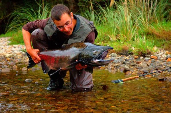 User submitted picture: was not even thinking abo...