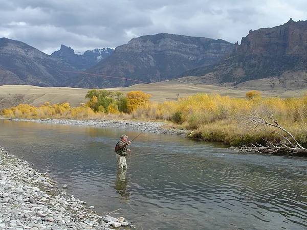 User submitted picture: I normally take the entir...