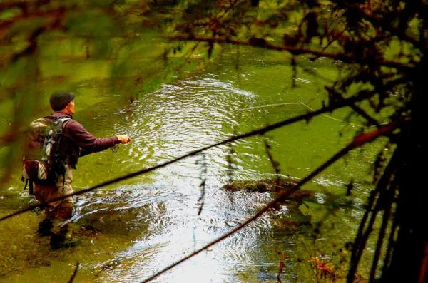 User submitted picture: casting in green