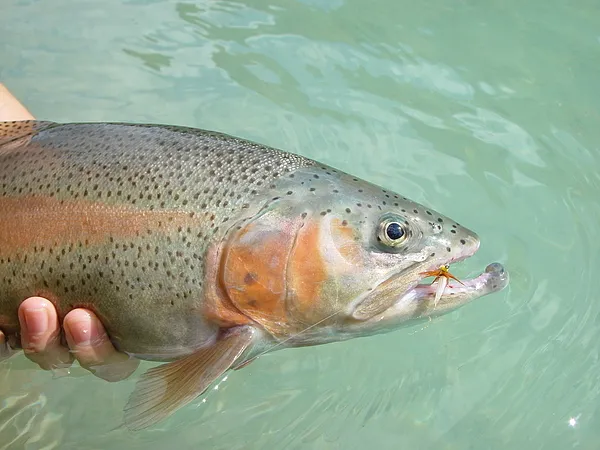 User submitted picture: Wonderful Rainbow...