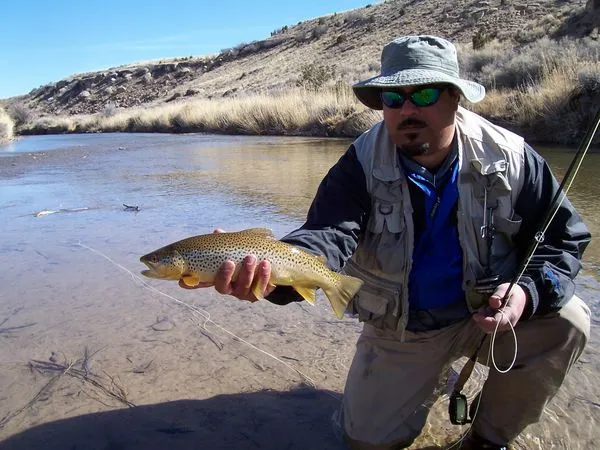 User submitted picture: Brown caught in a Utah st...